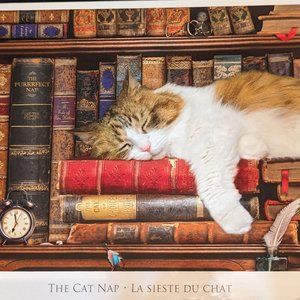 Like New Eurographics 1000 piece puzzle Cat Nap